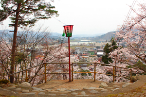 昼の船岡公園の画像2