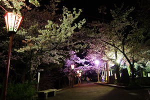 昼の船岡公園の画像