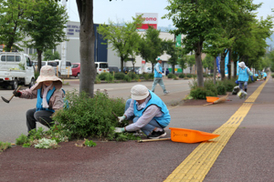 作業をする参加者たちの画像