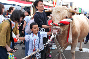 会場をパレードする闘牛の画像