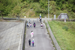 太田ダムを歩く参加者の画像