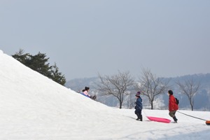 広場で雪遊びをする来館者の画像