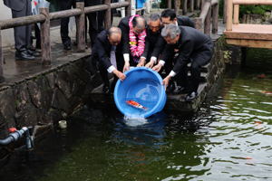 オーナー鯉を放流する島崎さんの画像