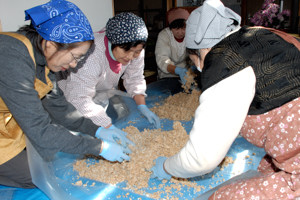 大豆と麹と塩を混ぜて手でこねる参加者の画像