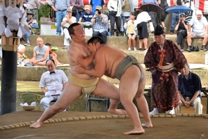 相撲大会の様子の画像