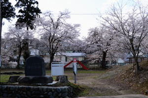 五智院の桜1