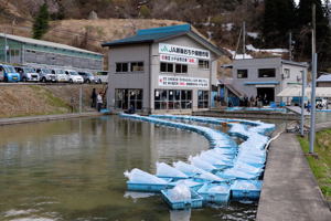 錦憩市場の外観の画像