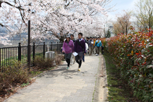 満開の桜の画像