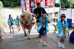 東山小学校児童に引かれ入場する牛太郎の画像