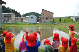 田んぼを泳ぐ合鴨に手を振る園児の画像