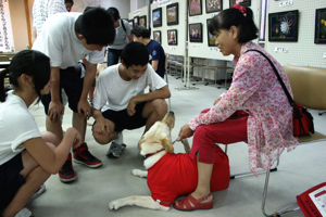 盲導犬とふれあう参加者の画像