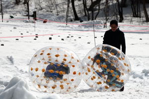 雪上バブルボールで遊ぶ子どもの画像