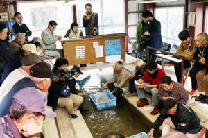 活気あふれる錦鯉市場の画像