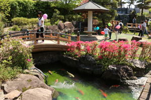 錦鯉の里庭園の画像