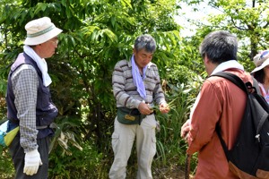 根曲がり竹を手に山菜の説明をする主催者の画像