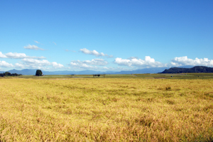 池ヶ原の風景画像