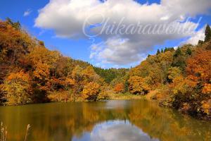 木津八海山登り口いもり川近くの養鯉池を囲む紅葉