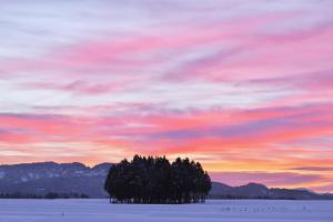 「冬の朝は空気が澄んでいるので、美しい朝焼けに出会えました」の画像