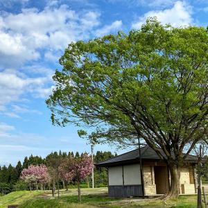 白山運動公園のサイクリングロードの画像