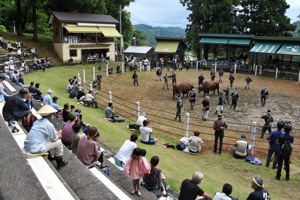 角突きを観戦する来場者の画像