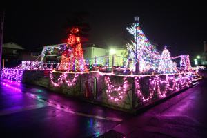 サンプラザけやき公園のイルミネーションの画像