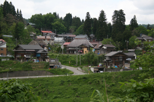 若栃集落の中の「おっこの木」の画像