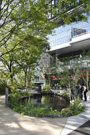 TOKYO TORCH Park錦鯉鑑賞池の画像