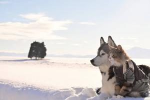 3月号のおぢフォトの画像