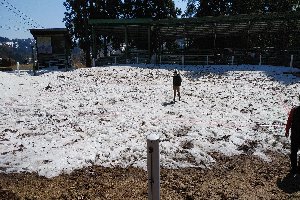 まだ残雪が残る小千谷闘牛場の画像