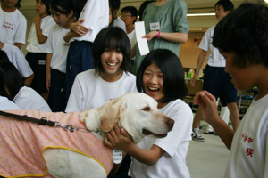 盲導犬と中学生がふれあう画像