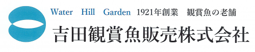 吉田観賞魚販売株式会社ロゴ