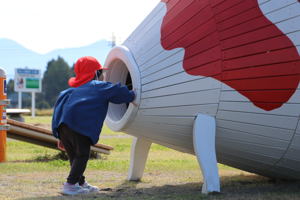 錦鯉の遊具の中をのぞく園児の写真