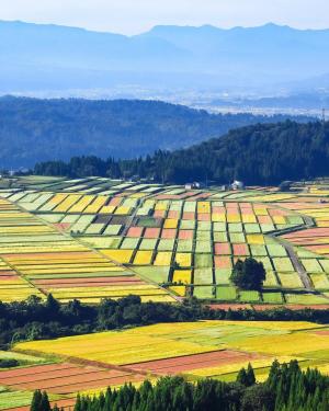 広報おぢや11月号のおぢフォトの画像