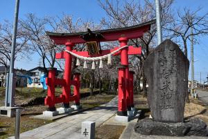 伊米神社の鳥居と桜の画像