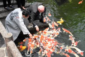 錦鯉に餌やりをする駐日ドイツ大使と宮崎市長の画像