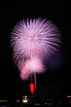 江口陽介の花火の画像