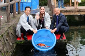 駐日フランス大使館による錦鯉放流の画像