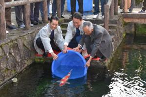 錦鯉を庭園の池に放流する三人の画像