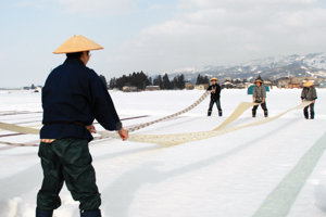 小千谷縮の雪さらしをする画像