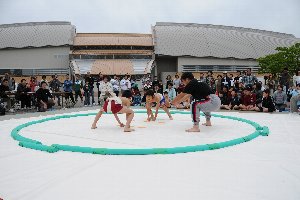 土俵で向かいあう男子児童の画像