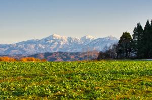 沢山④