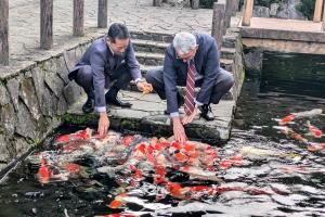 錦鯉の里で錦鯉と触れ合うベネデッティ氏と宮崎市長の画像