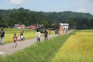 田園地帯を走る選手たちの画像