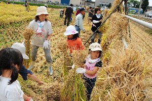 はさがけをする子どもたちの画像