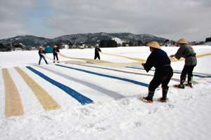 小千谷縮の雪さらしをする画像