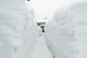 両側に雪の壁ができた通路の写真