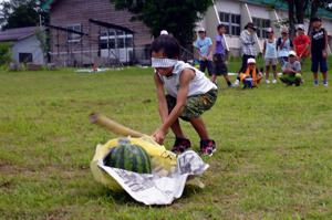 すいか割りをする子どもの画像