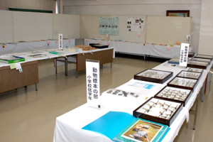 標本などが展示された会場の様子の画像