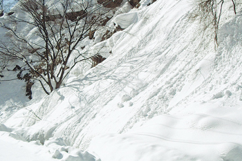 斜面を転がる雪のかたまりの画像