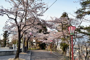 昼の船岡公園の画像3